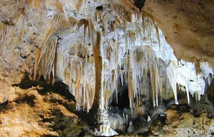 Trek to Alfred Caves